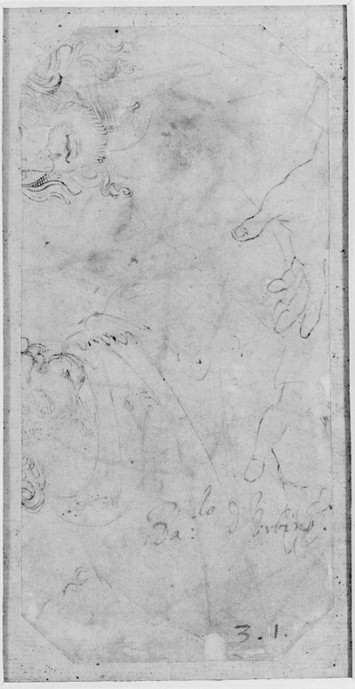 Skizzen von zwei männlichen Köpfen und einem Paar Hände von Raffaello Sanzio Raphael